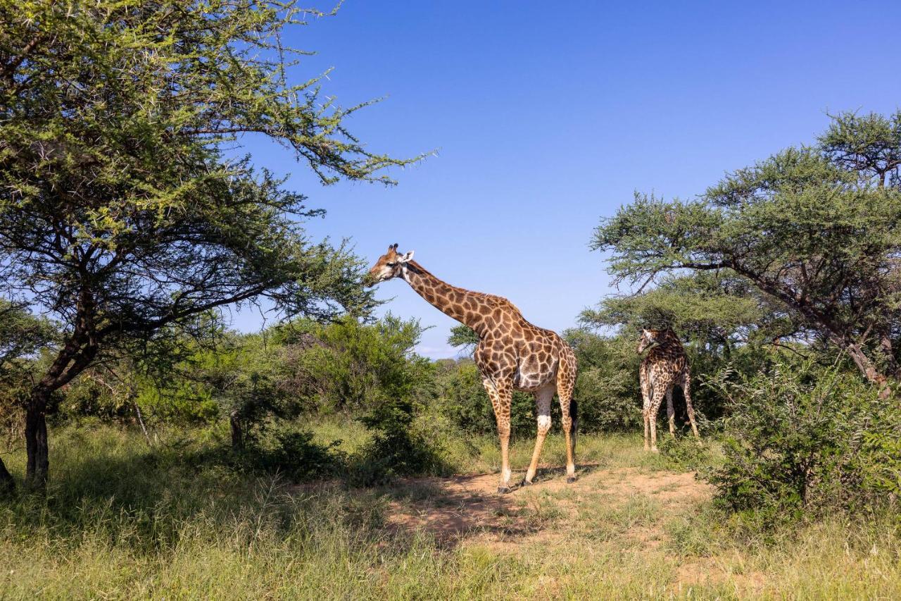 Oase By 7 Star Lodges - Greater Kruger Private 530Ha Reserve Hoedspruit Exterior foto